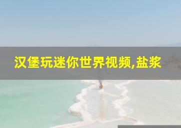 汉堡玩迷你世界视频,盐浆