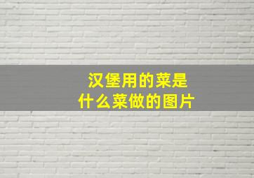 汉堡用的菜是什么菜做的图片