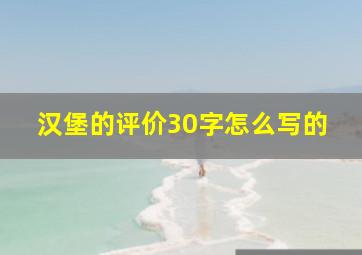 汉堡的评价30字怎么写的