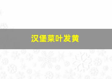 汉堡菜叶发黄