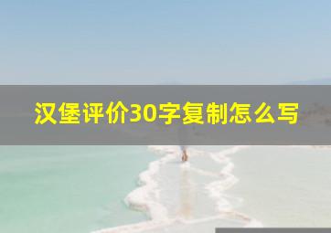 汉堡评价30字复制怎么写