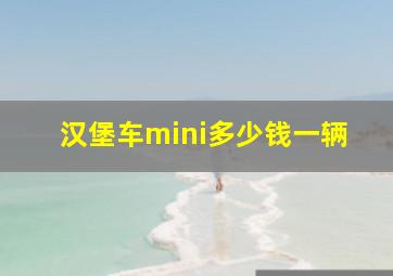 汉堡车mini多少钱一辆