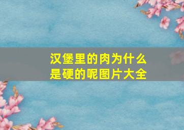 汉堡里的肉为什么是硬的呢图片大全