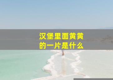 汉堡里面黄黄的一片是什么