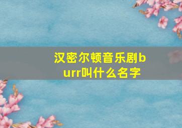 汉密尔顿音乐剧burr叫什么名字