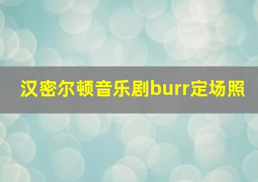 汉密尔顿音乐剧burr定场照