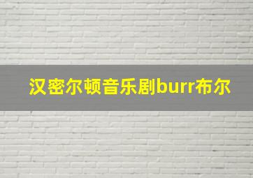 汉密尔顿音乐剧burr布尔