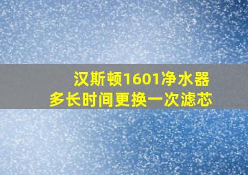 汉斯顿1601净水器多长时间更换一次滤芯