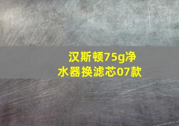 汉斯顿75g净水器换滤芯07款