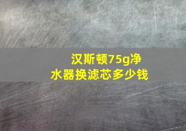 汉斯顿75g净水器换滤芯多少钱