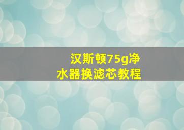 汉斯顿75g净水器换滤芯教程