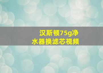 汉斯顿75g净水器换滤芯视频