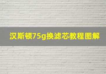 汉斯顿75g换滤芯教程图解