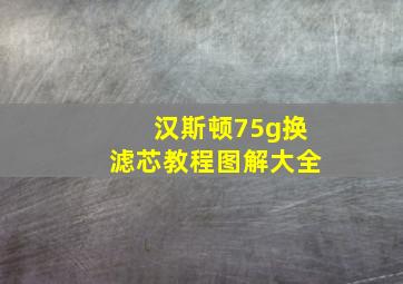 汉斯顿75g换滤芯教程图解大全