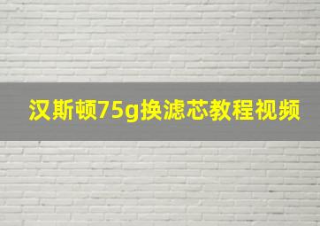 汉斯顿75g换滤芯教程视频