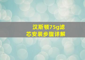 汉斯顿75g滤芯安装步骤详解