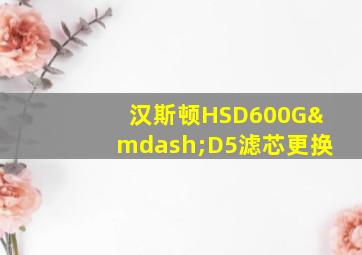 汉斯顿HSD600G—D5滤芯更换