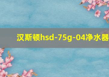 汉斯顿hsd-75g-04净水器