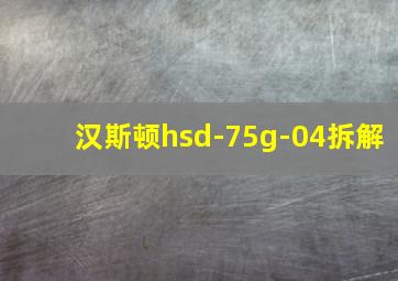 汉斯顿hsd-75g-04拆解