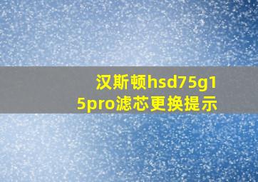 汉斯顿hsd75g15pro滤芯更换提示