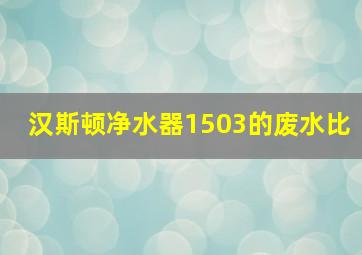 汉斯顿净水器1503的废水比