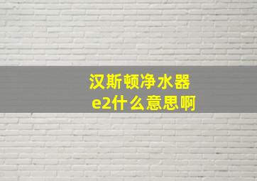 汉斯顿净水器e2什么意思啊