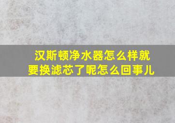 汉斯顿净水器怎么样就要换滤芯了呢怎么回事儿