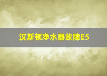 汉斯顿净水器故障E5