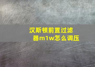 汉斯顿前置过滤器m1w怎么调压