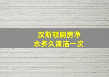 汉斯顿厨房净水多久清洁一次