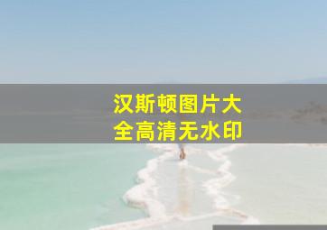 汉斯顿图片大全高清无水印