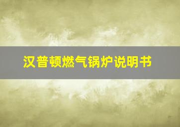 汉普顿燃气锅炉说明书