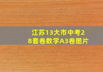 江苏13大市中考28套卷数学A3卷图片