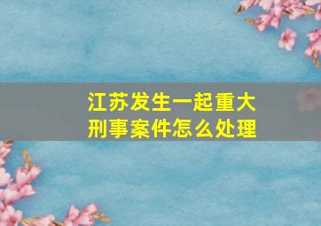 江苏发生一起重大刑事案件怎么处理