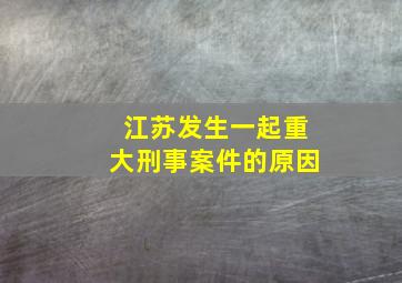 江苏发生一起重大刑事案件的原因