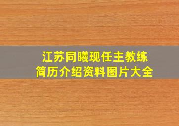 江苏同曦现任主教练简历介绍资料图片大全