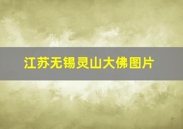 江苏无锡灵山大佛图片