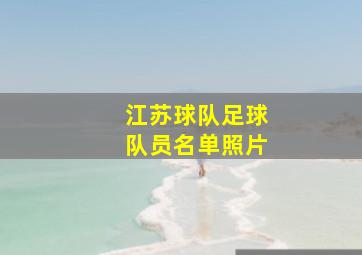 江苏球队足球队员名单照片