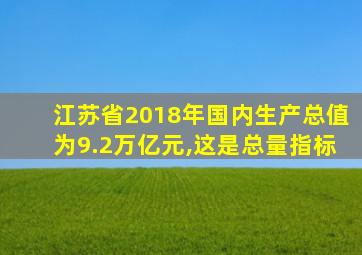 江苏省2018年国内生产总值为9.2万亿元,这是总量指标