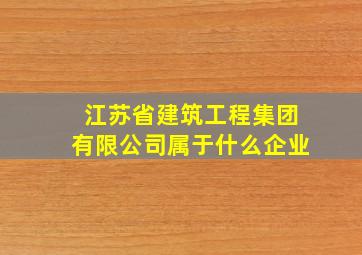 江苏省建筑工程集团有限公司属于什么企业