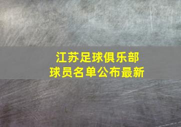 江苏足球俱乐部球员名单公布最新