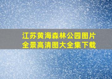 江苏黄海森林公园图片全景高清图大全集下载