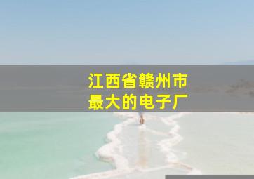 江西省赣州市最大的电子厂