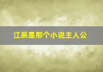 江辰是那个小说主人公