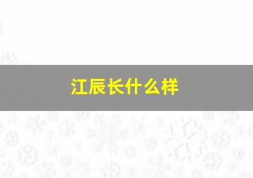 江辰长什么样