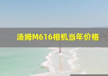 汤姆M616相机当年价格