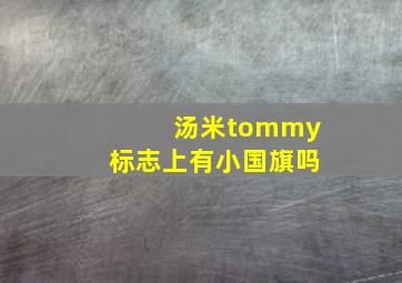 汤米tommy标志上有小国旗吗