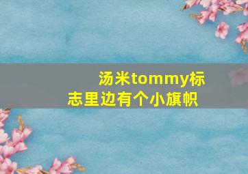 汤米tommy标志里边有个小旗帜