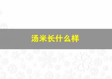 汤米长什么样