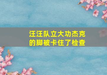 汪汪队立大功杰克的脚被卡住了检查